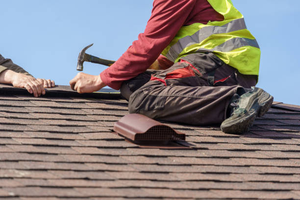 Best Roof Gutter Cleaning  in West Glendive, MT