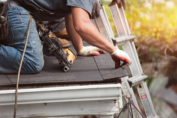 Best Flat Roof Repair Services  in West Glendive, MT